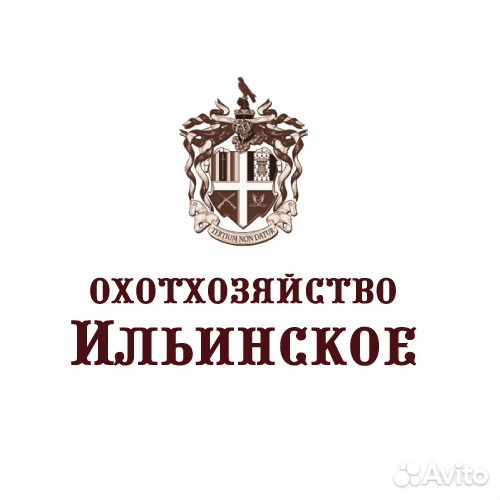 Требуется Водитель экспедитор (B-C-D)
