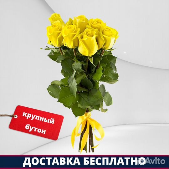 Розы Эквадор - 7 шт. 50 см