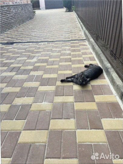 Тротуарная плитка брусчатка 100.200.40 серая