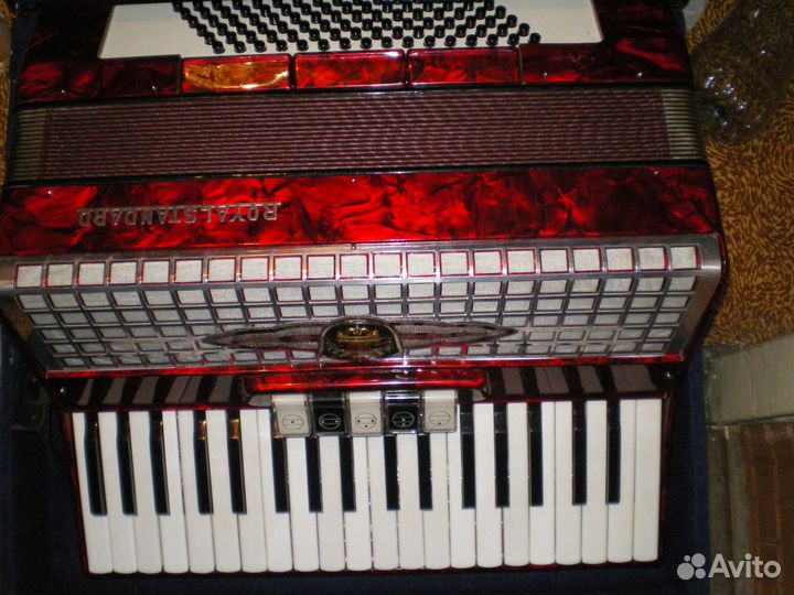 Аккордеон royal standard