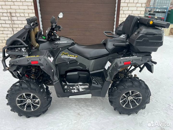 Stels Guepard 650 2020