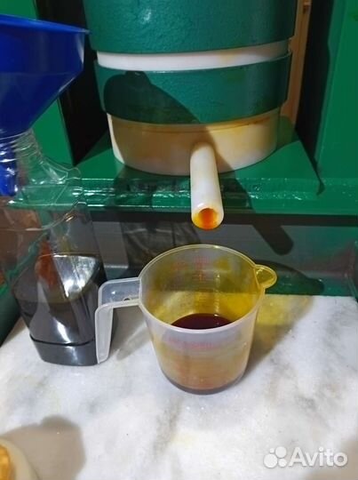 Концентрат облепихового масла