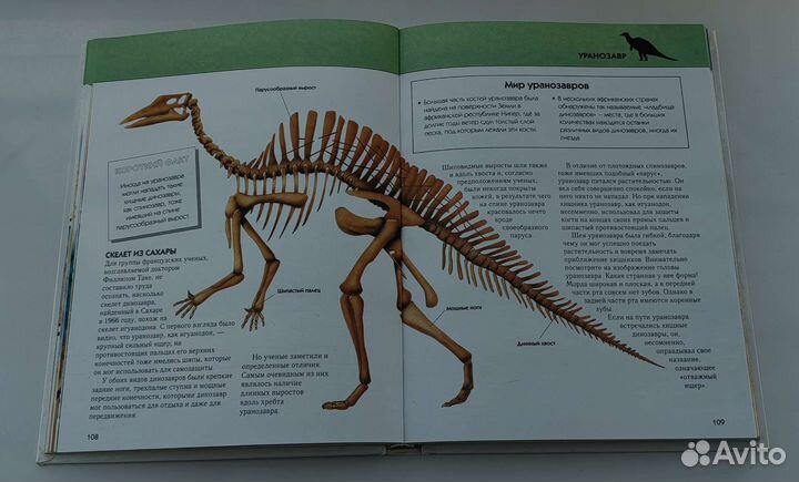 Книга Полная энциклопедия Динозавры