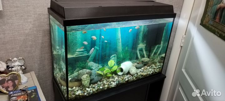 Аквариум с тумбой