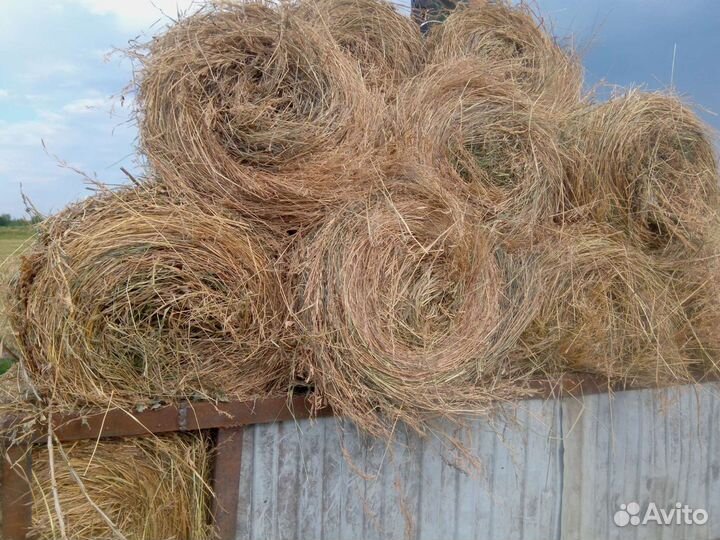 Сено в рулончиках