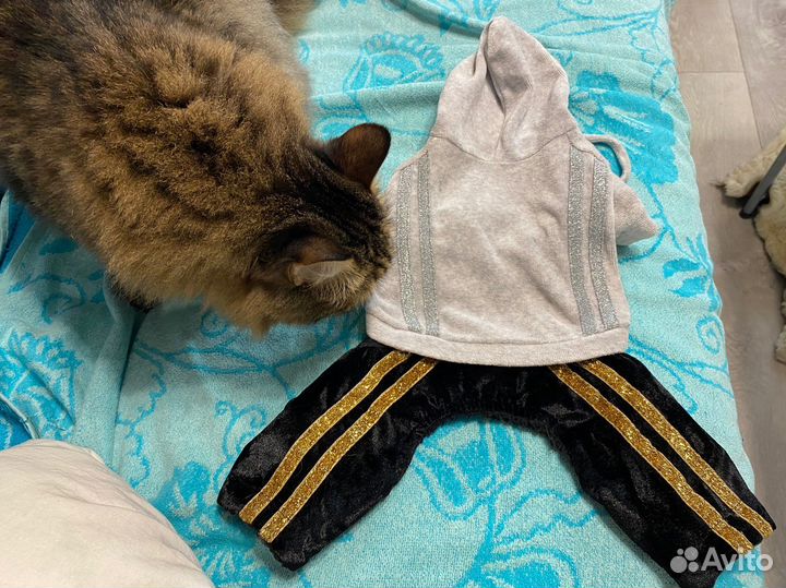 Кофта трикотажная для маленьких собак