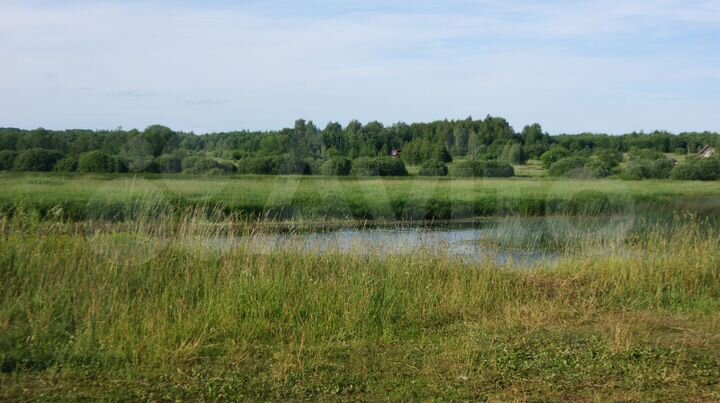 Участок 4,4 га (СНТ, ДНП)