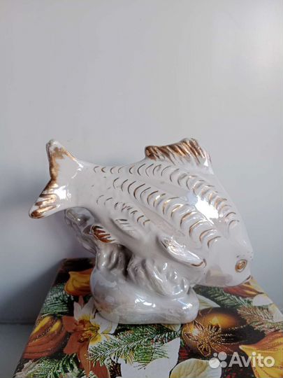 Рыба-карп СССР