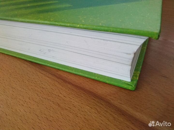 100 советов мэру