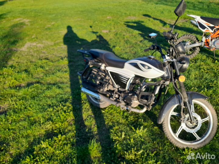 Продам мопед Alpha rx(vortex)