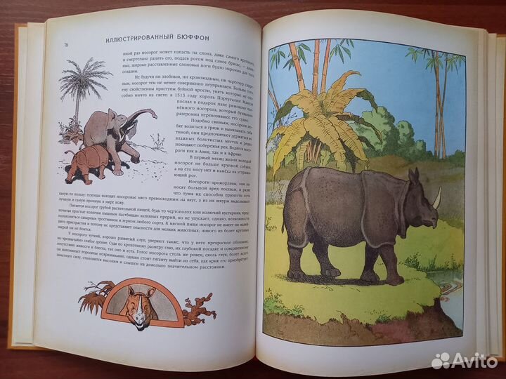 Феи энциклопедия Бюффон