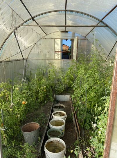 Дача 20 м² на участке 5,3 сот.