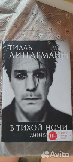Тилль Линдеманн: В тихой ночи. Лирика