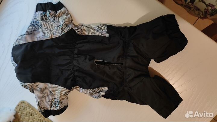 Комбинезон для маленькой собаки мальчик