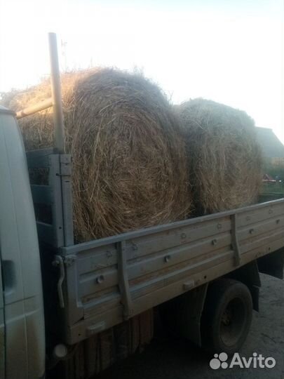 Продам сено в рулонах