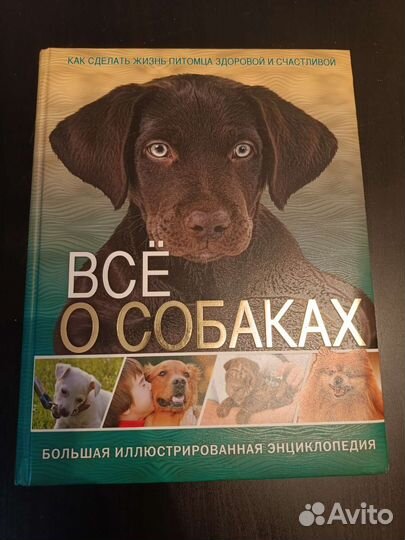 Всё о собаках