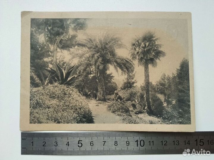 Почтовая карточка 1932 г Батум, Грузия