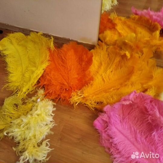 Перо страуса цветное