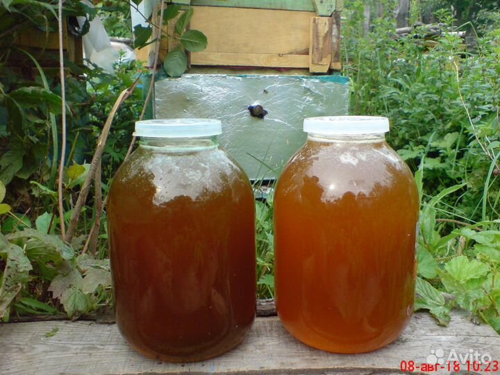 Мёд со своей пасеки, мёд в сотах