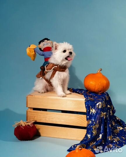 Yami-Yami одежда костюм для собак 