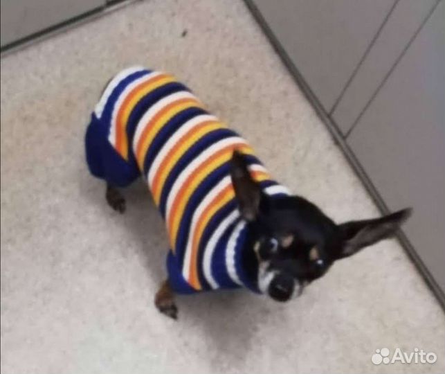 Тойчик. Вязка