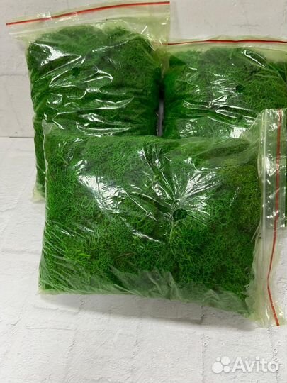 Мох стабилизированный для декора И творчества