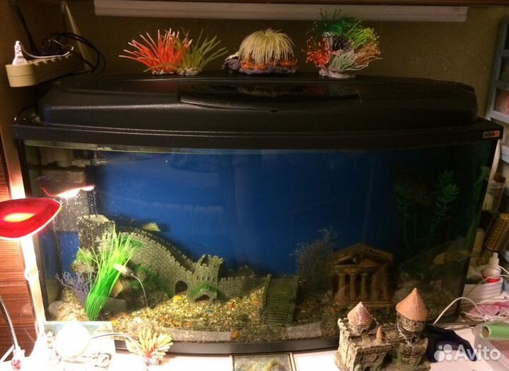Аквариум