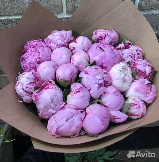 Пионы Букеты Цветы