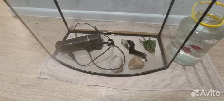 Аквариум с рыбками