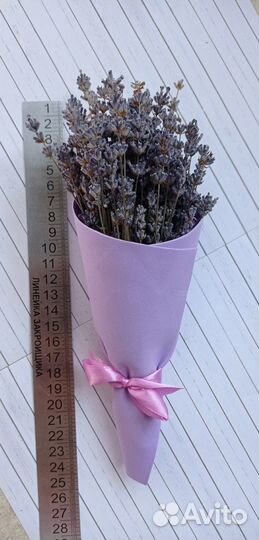 Лаванда сухоцвет свежая срезка