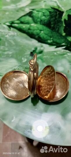 Пауль мозер