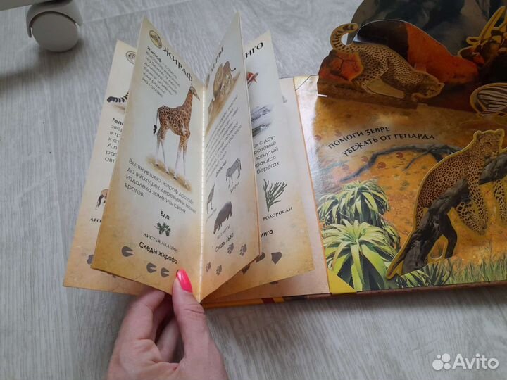 Книжки для малышей