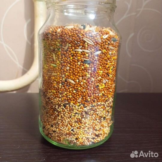 Корм для птиц