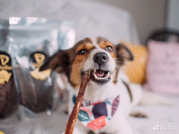 Сухие лакомства для собак цена- качество