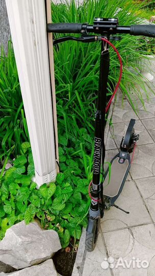 Самокат Black Aqua