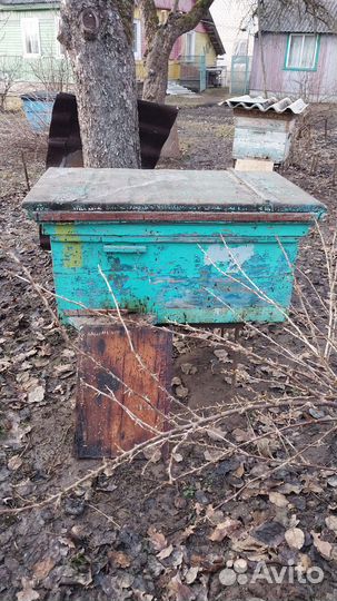 Улей для пчел