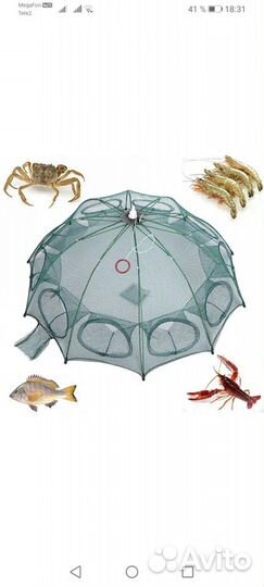 Раколовка зонтик