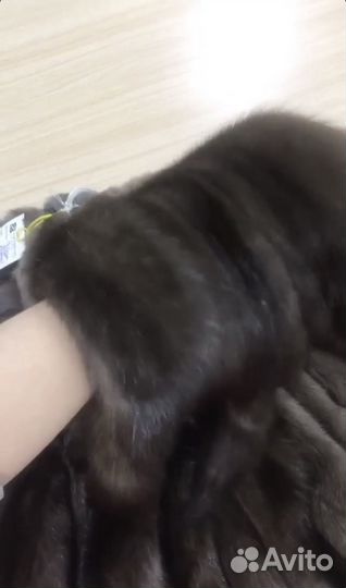 Шкуры соболя