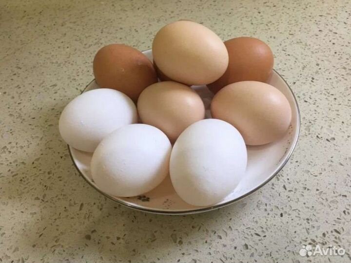 Домашние куриные яйца