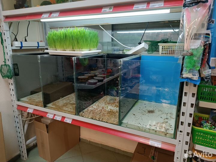 Аквариум из стойки б/у 52 литра
