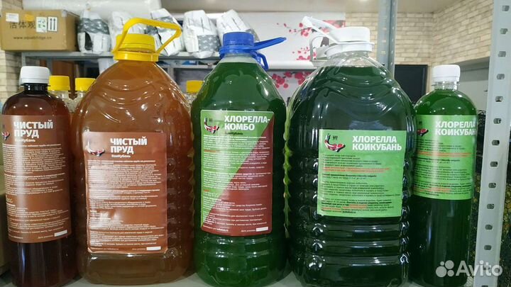 Хлорелла. Хлорелла Комбо. Биобактерия