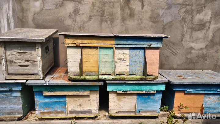 Ульи лежаки