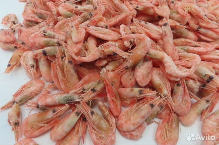Креветка северная в/м РФ - 250+