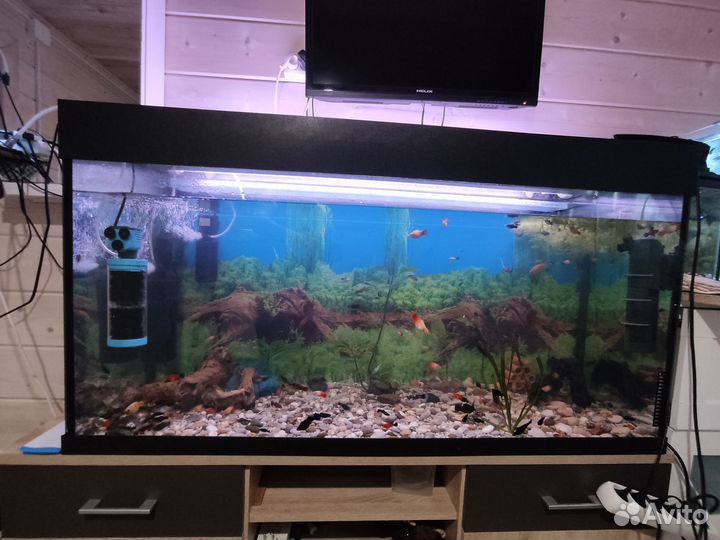 Аквариум большой