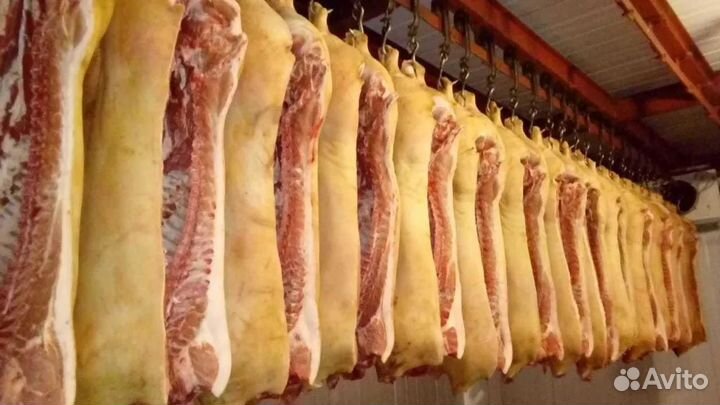 Мясо свинина (фермерская)