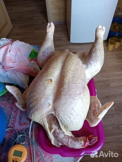 Мясо индейки