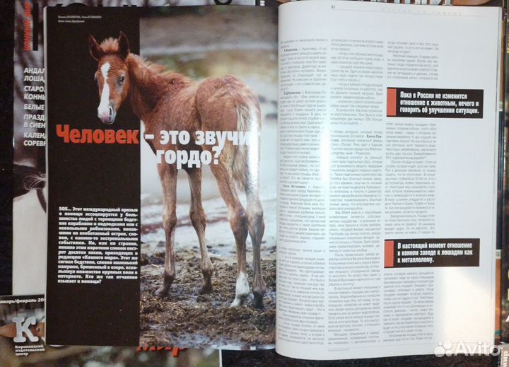 Журналы про лошадей 