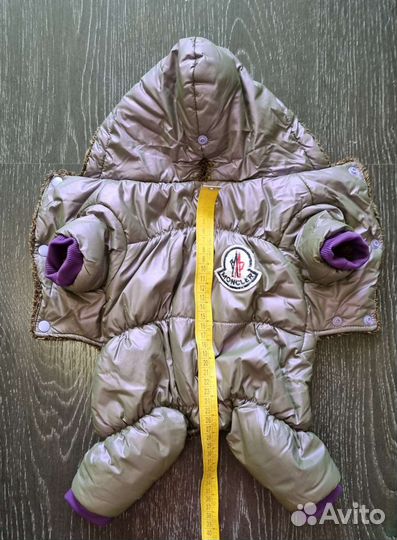 Костюм для собаки