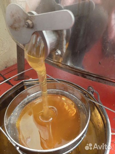 Свежий мед Разнотравье светлое оптом