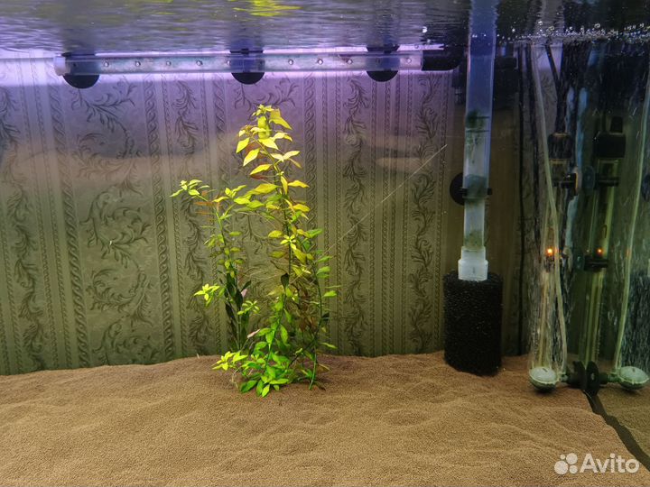 Аквариум с тумбой